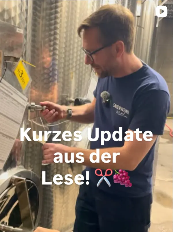 Matthias Sauerwein zapft Most aus dem Tank – Update aus der Lese
