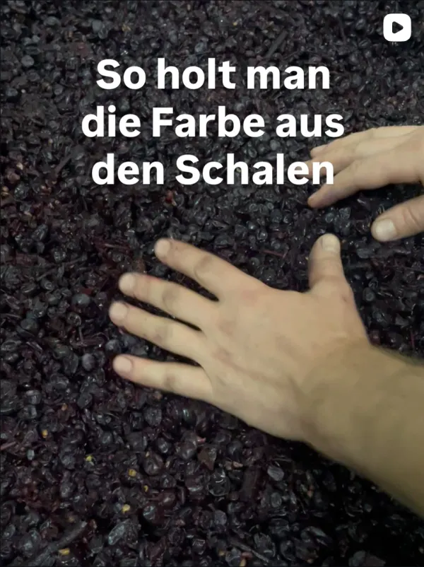 Hände in der Maische – so holt man die Farbe aus den Schalen